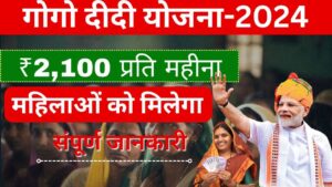 GoGo Didi Yojana 2024