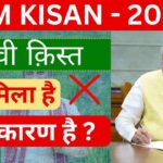 PM Kisan 19th Installment 2025